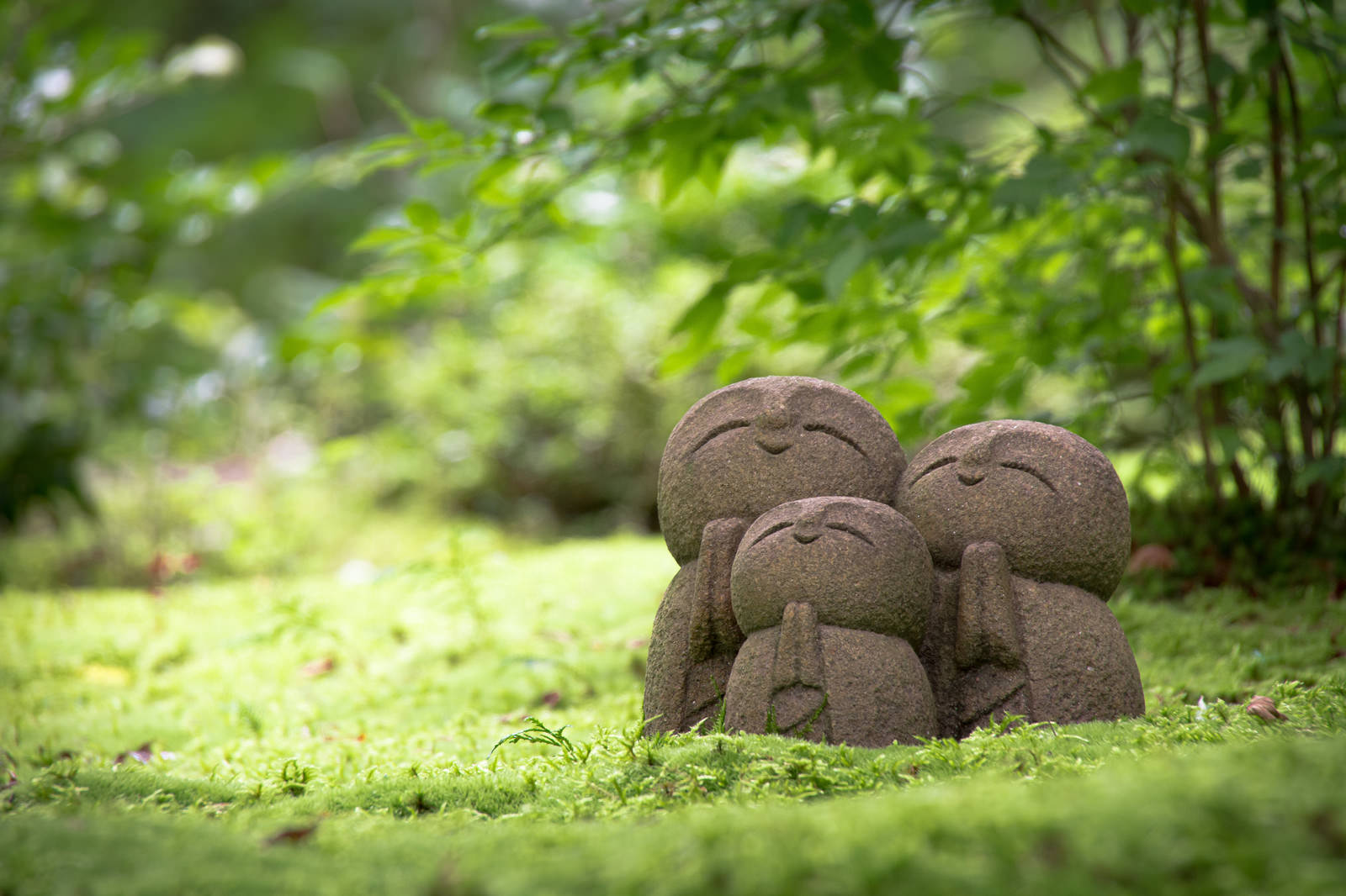 日々是好日、私の楽しみ.